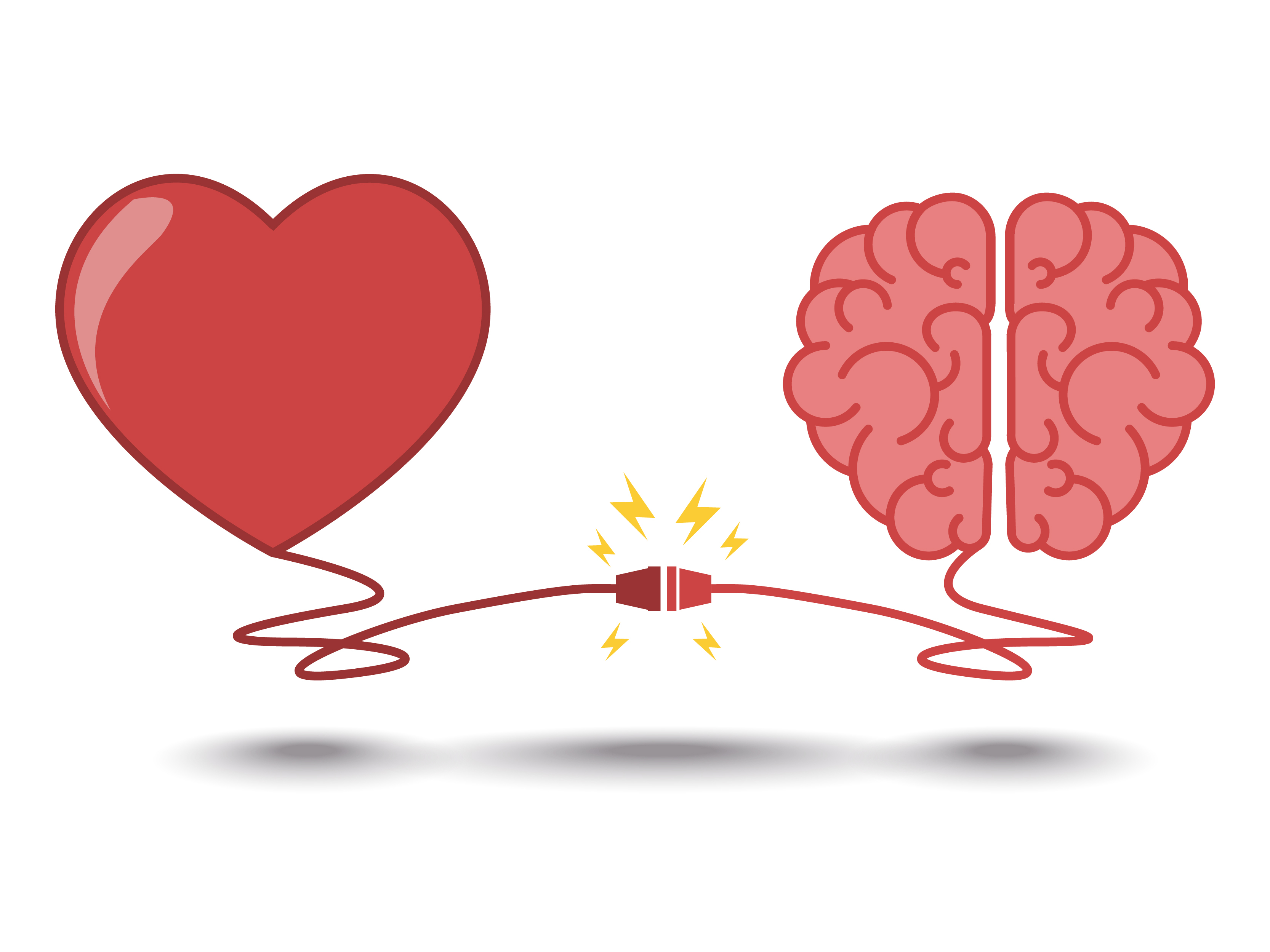 У сердца есть мозг. Мозг и сердце. Влюбленный мозг. Сердце и разум. Ум и сердце.