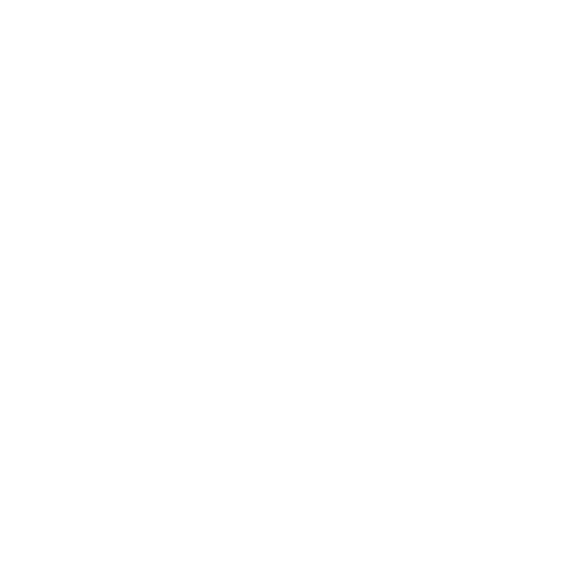 The guardian logo