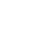 Demant logo