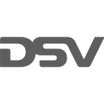 DSV logo