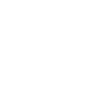 Flying tiger logo