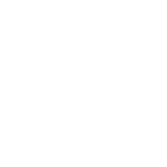 Netto logo