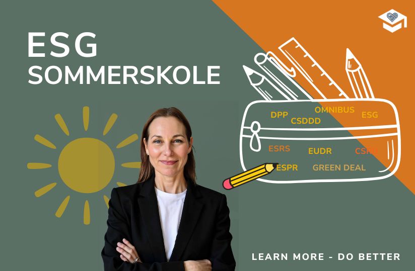 ESG Sommerskole: Få viden og værktøjer i din sommerferie