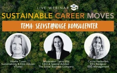 Sustainable Career Moves I Selvstændige Konsulenter I 28. nov 2025