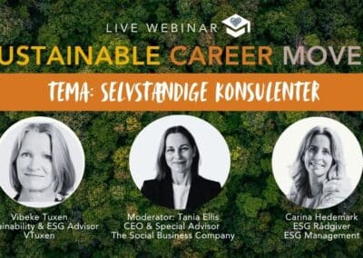 Sustainable Career Moves I Selvstændige Konsulenter