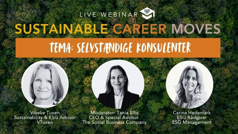 Sustainable Career Moves I Selvstændige Konsulenter