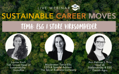 Sustainable Career Moves I ESG i store virksomheder I 13. august 2026