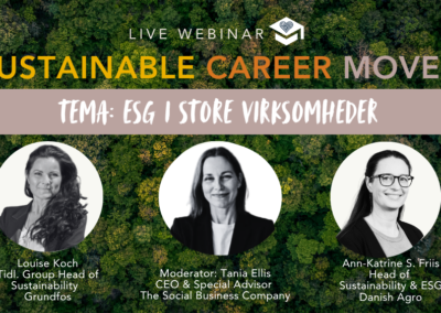 Sustainable Career Moves I ESG i store virksomheder I 13. august 2026