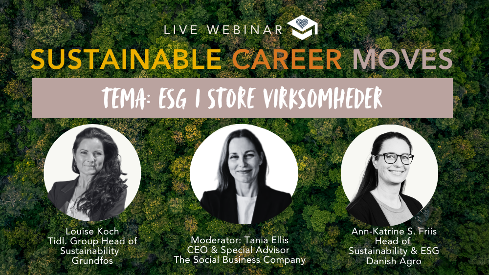 Sustainable Career Moves I ESG i store virksomheder I 13. august 2026